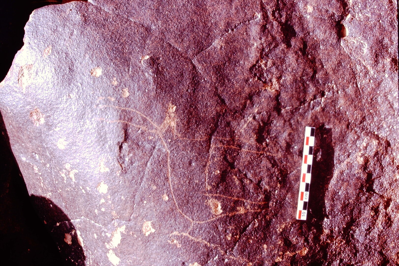 inscription of siglum Is.H 588