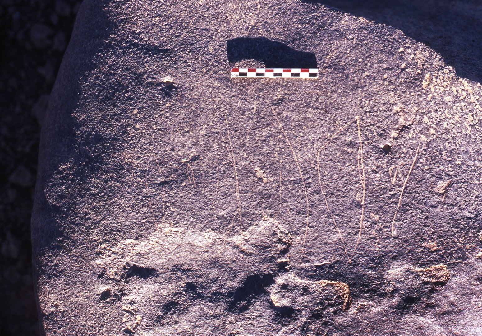 inscription of siglum Is.H 613