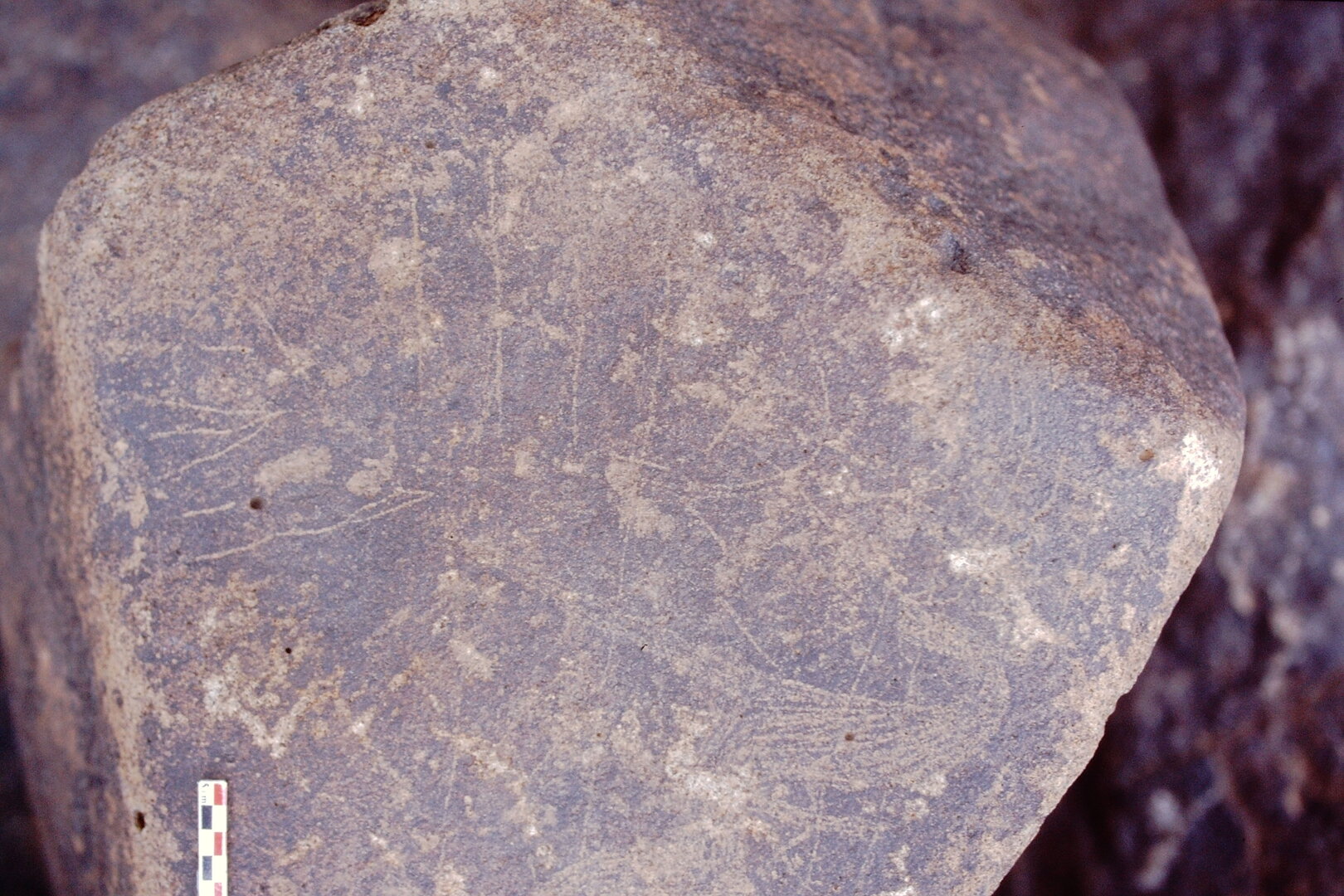 inscription of siglum Is.H 655