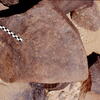 inscription of siglum Is.H 689