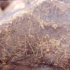 inscription of siglum Is.H 701