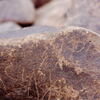 inscription of siglum Is.H 701