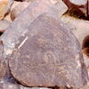 inscription of siglum Is.H 707