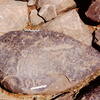 inscription of siglum Is.H 711
