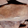 inscription of siglum Is.H 718