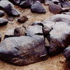 inscription of siglum Is.H 740