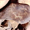 inscription of siglum Is.H 764