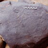 inscription of siglum Is.H 779
