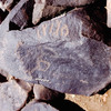 inscription of siglum Is.H 790