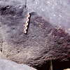inscription of siglum Is.H 790