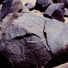 inscription of siglum Is.H 799