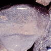 inscription of siglum Is.H 818