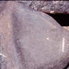 inscription of siglum Is.H 818