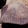 inscription of siglum Is.H 823
