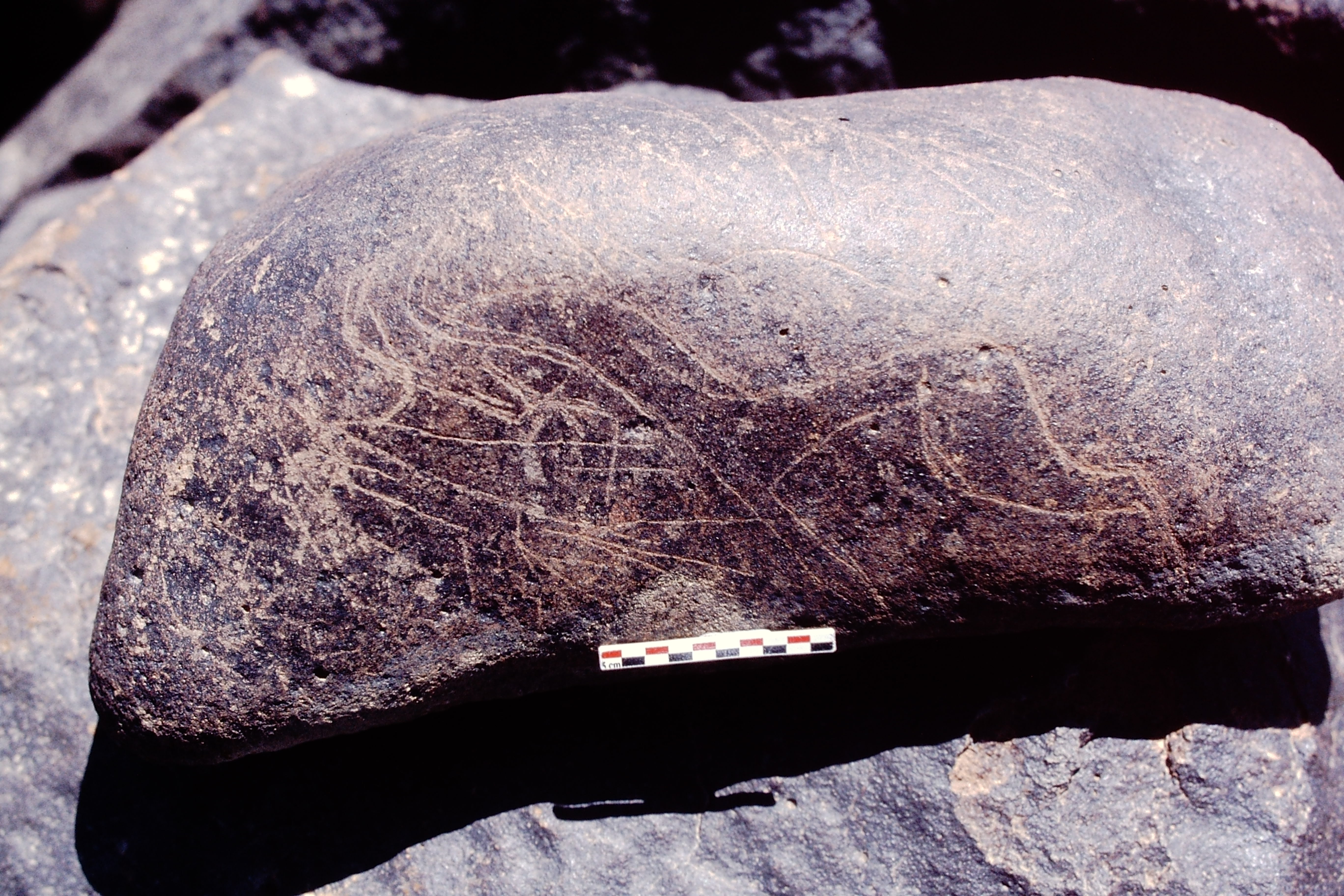 inscription of siglum Is.H 833