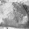 inscription of siglum Is.H 91