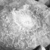 inscription of siglum Is.H 91