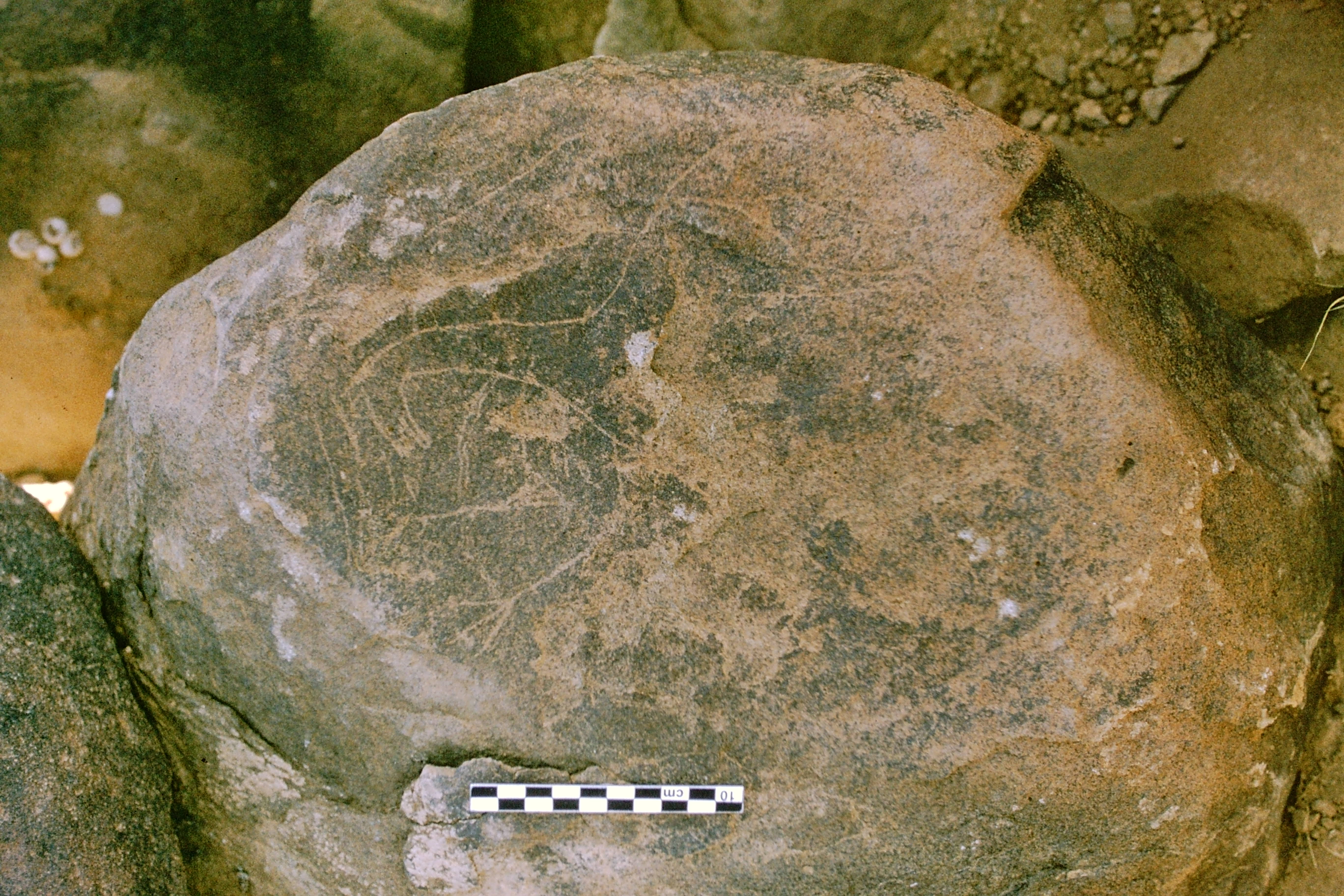 inscription of siglum Is.H 919