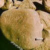 inscription of siglum Is.H 926