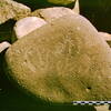 inscription of siglum Is.H 926