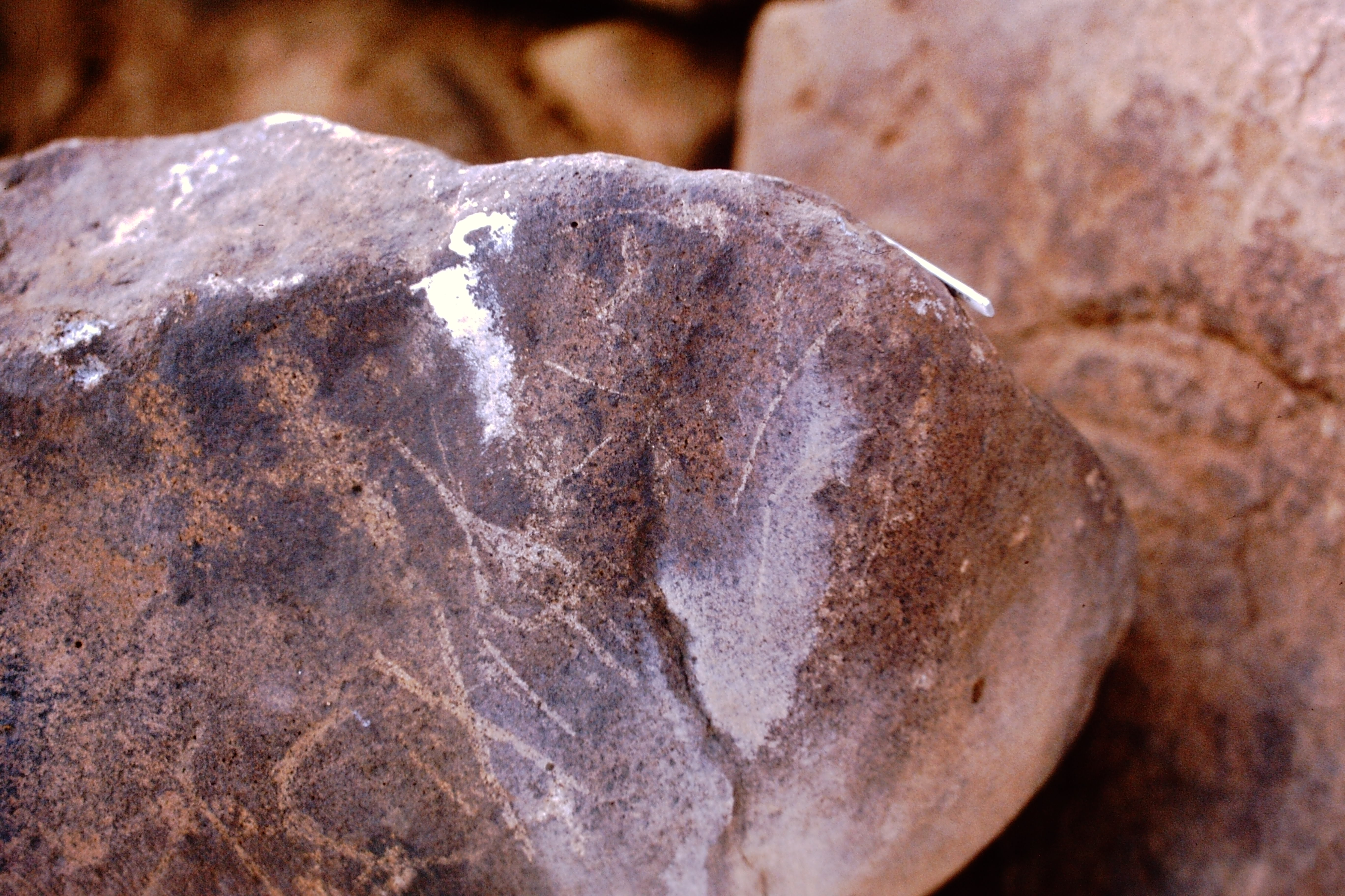 inscription of siglum Is.H 981