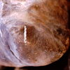 inscription of siglum Is.H 982
