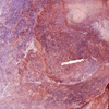 inscription of siglum Is.H 997