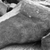 inscription of siglum Is.K 124