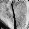 inscription of siglum Is.K 139