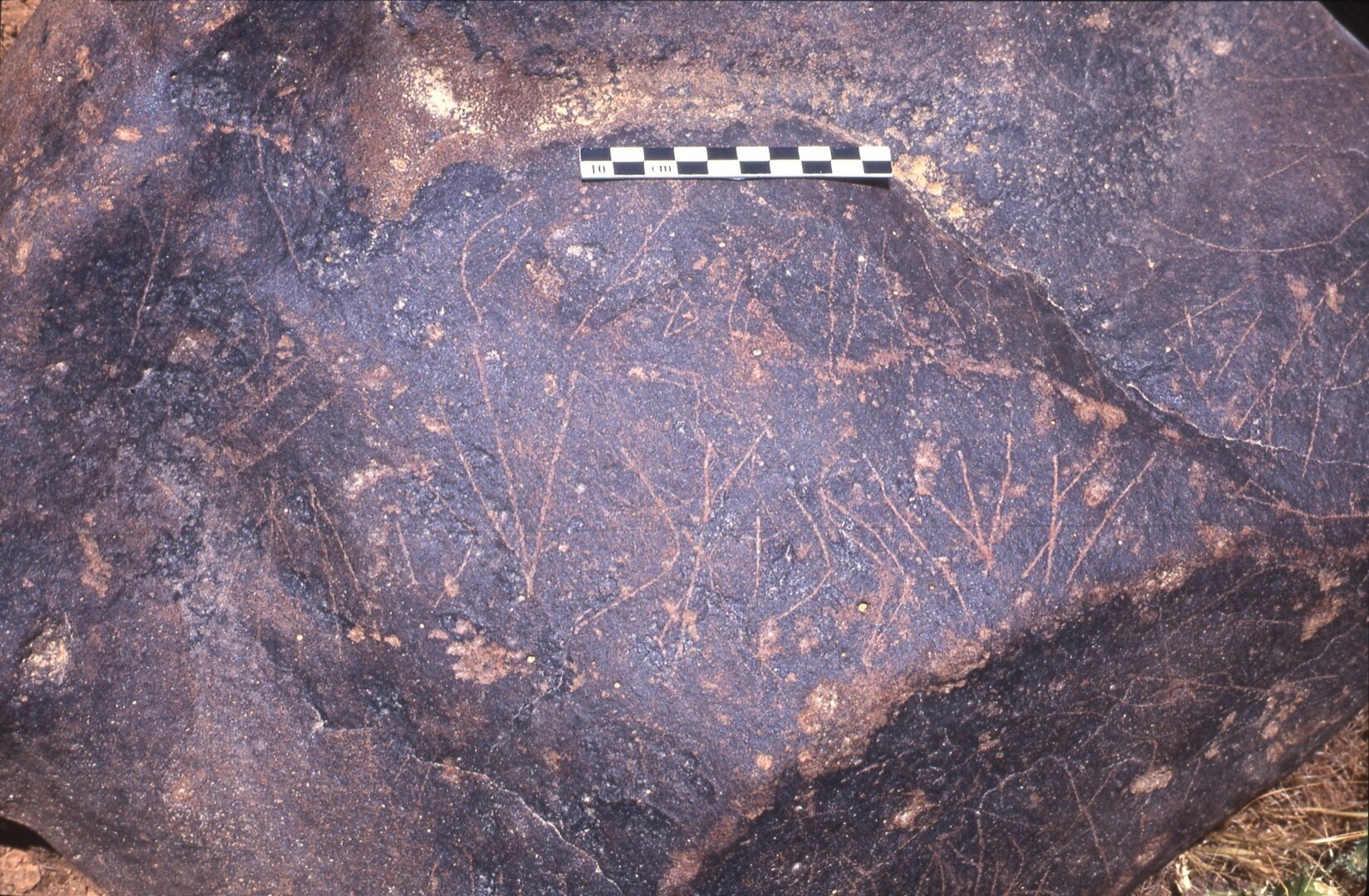 inscription of siglum Is.K 195