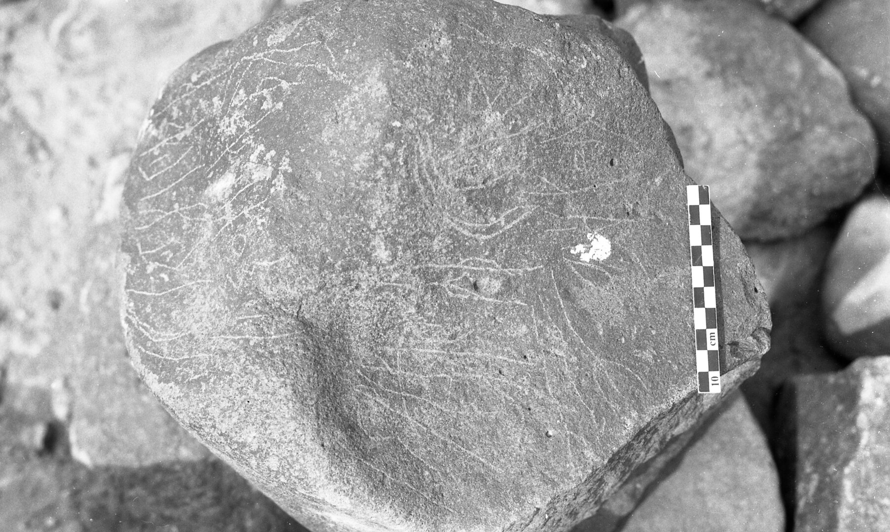inscription of siglum Is.K 282