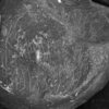 inscription of siglum Is.K 283
