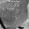 inscription of siglum Is.K 306