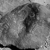 inscription of siglum Is.L 101