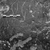inscription of siglum Is.L 105