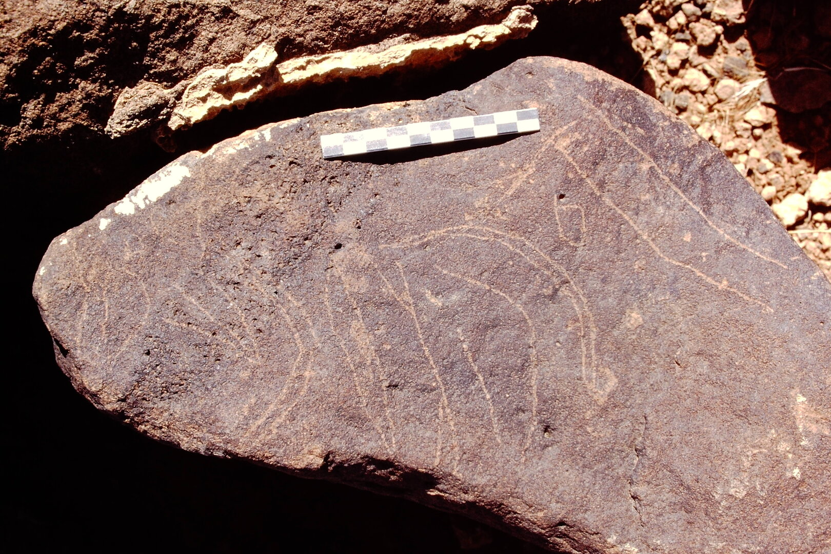 inscription of siglum Is.L 113