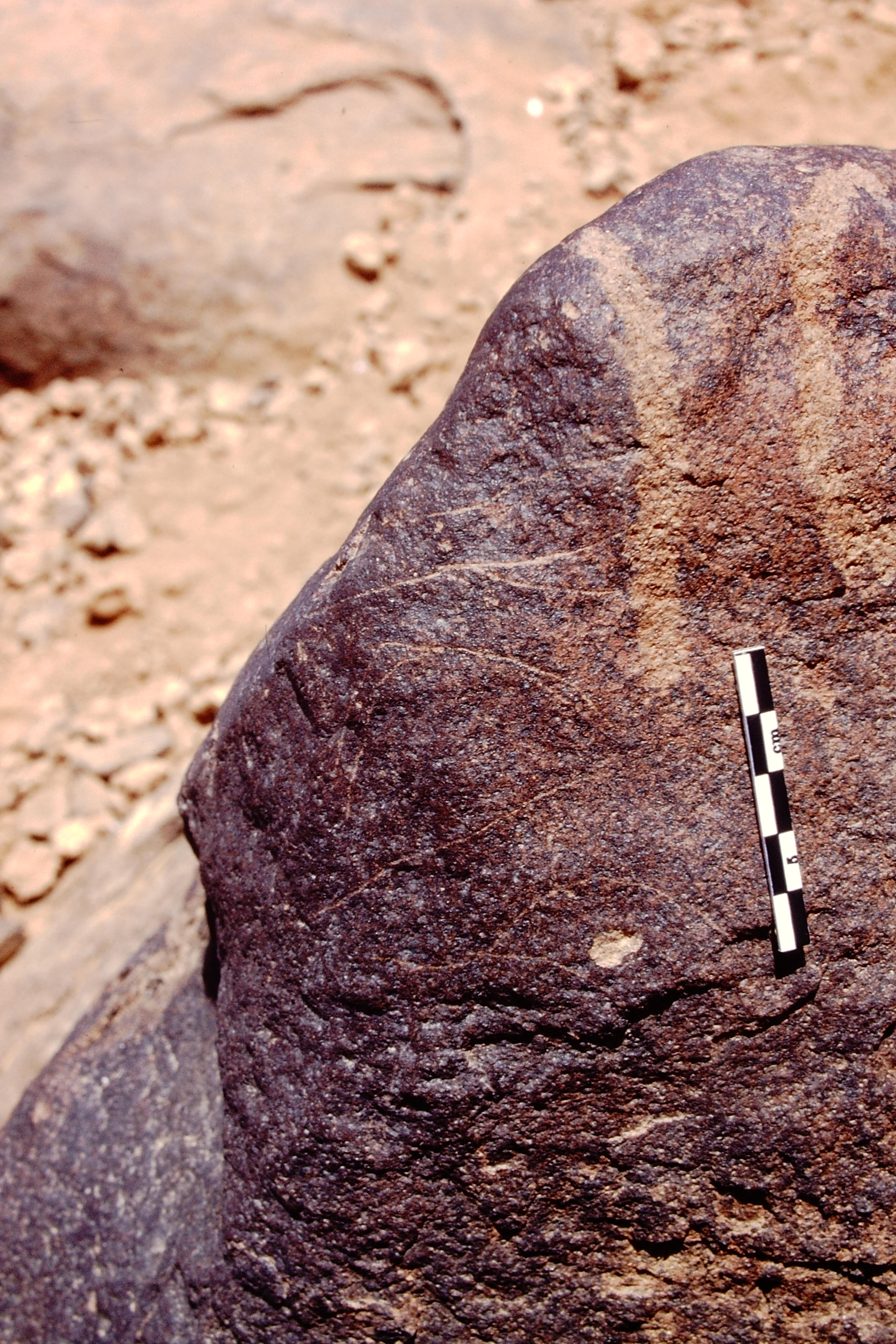 inscription of siglum Is.L 116