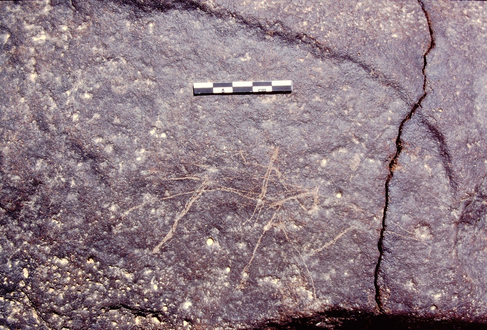 inscription of siglum Is.L 12