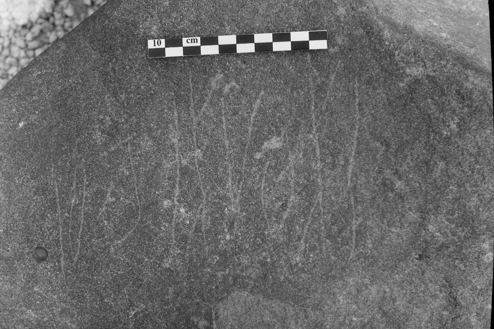 inscription of siglum Is.L 126