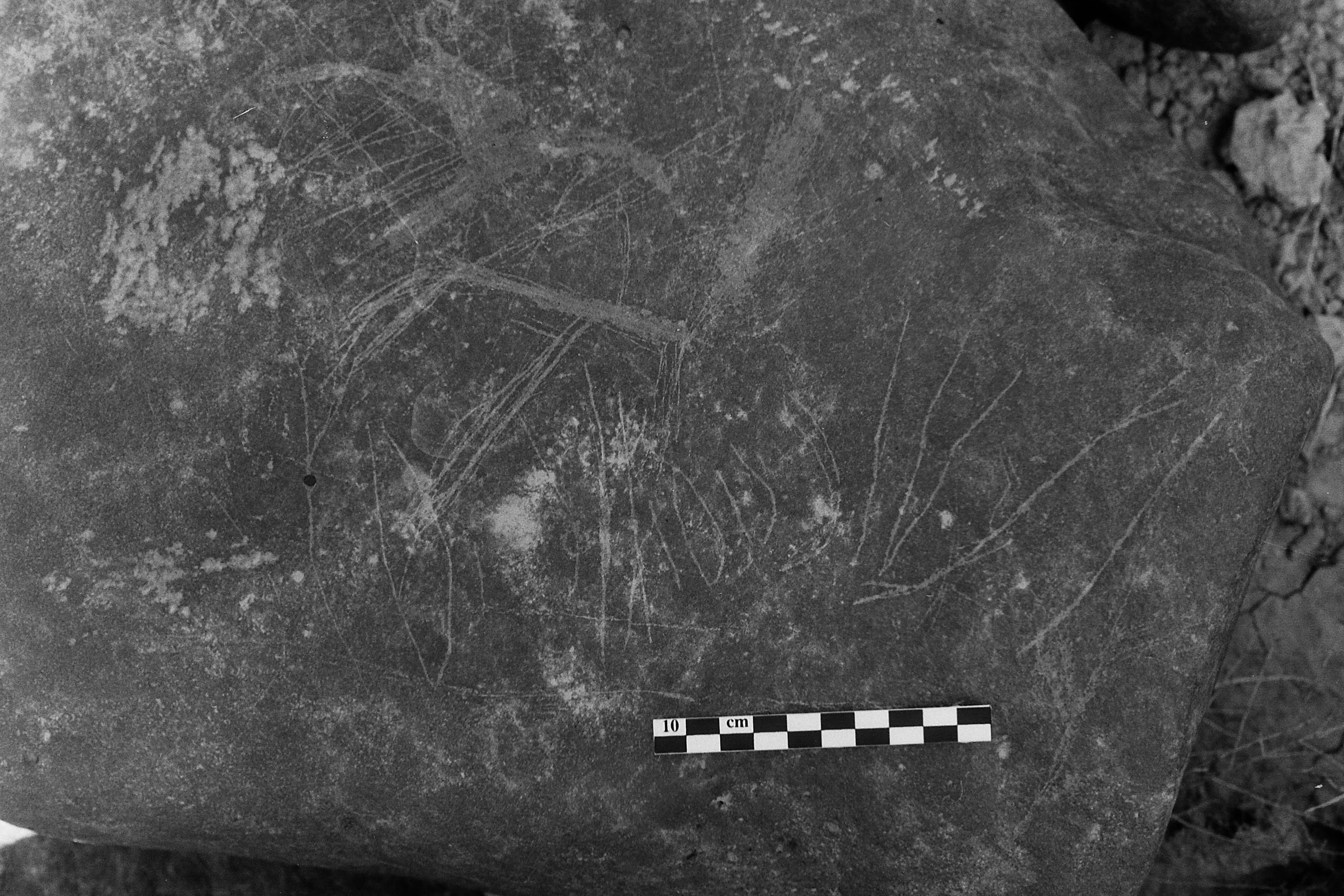 inscription of siglum Is.L 14