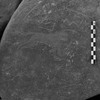 inscription of siglum Is.L 153
