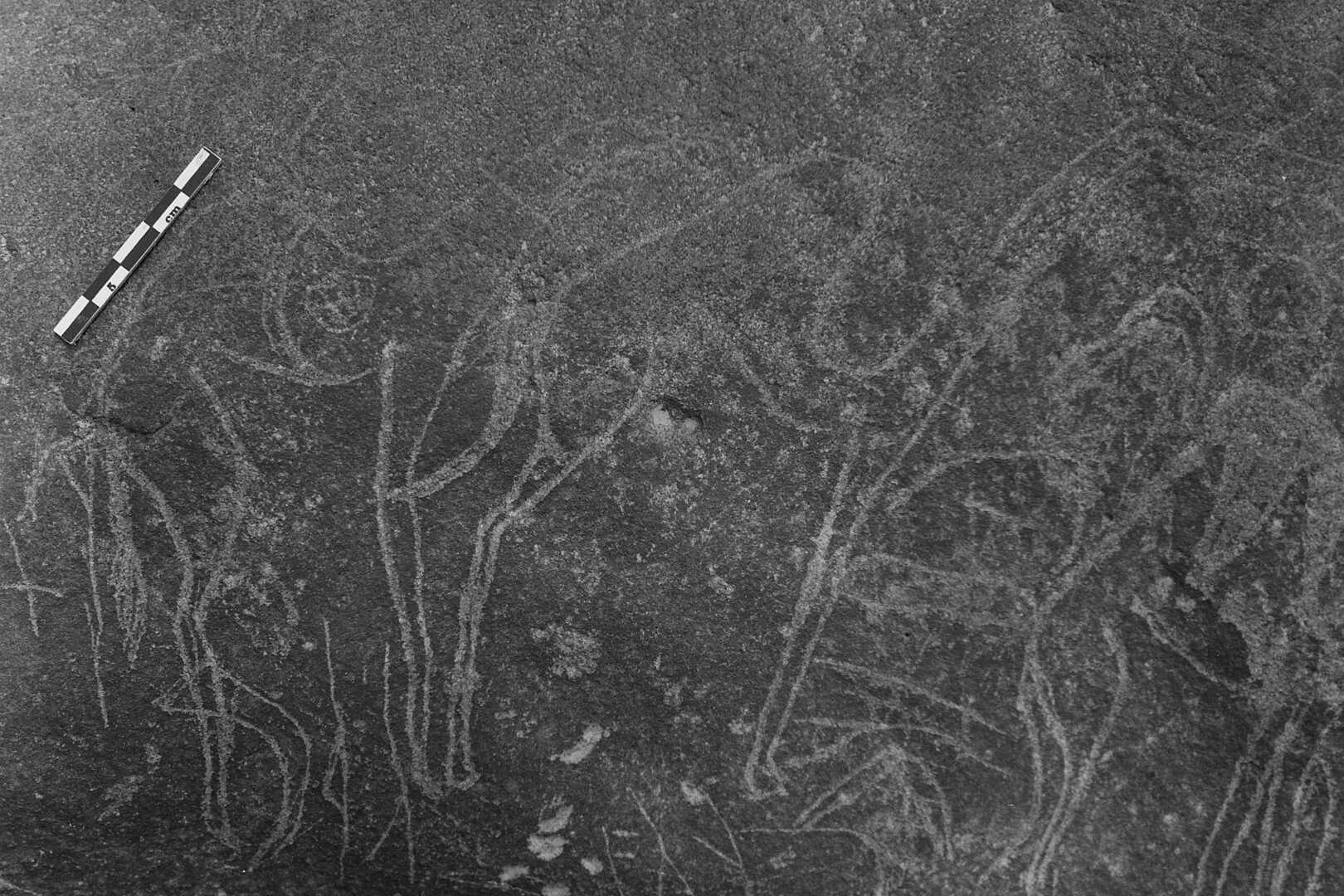 inscription of siglum Is.L 154