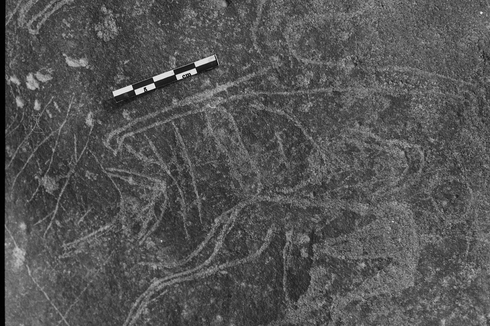 inscription of siglum Is.L 155