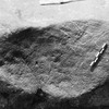 inscription of siglum Is.L 161