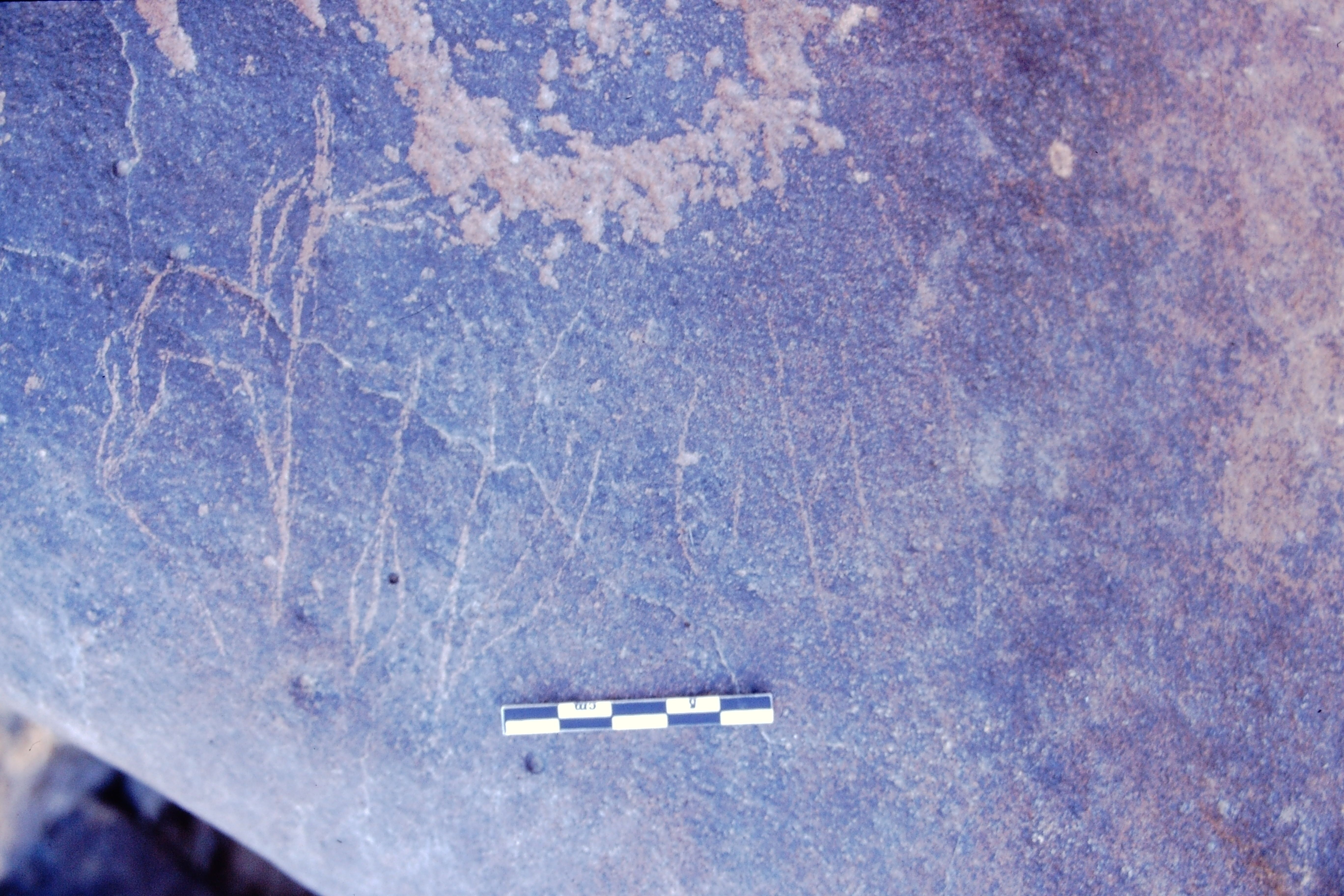 inscription of siglum Is.L 169