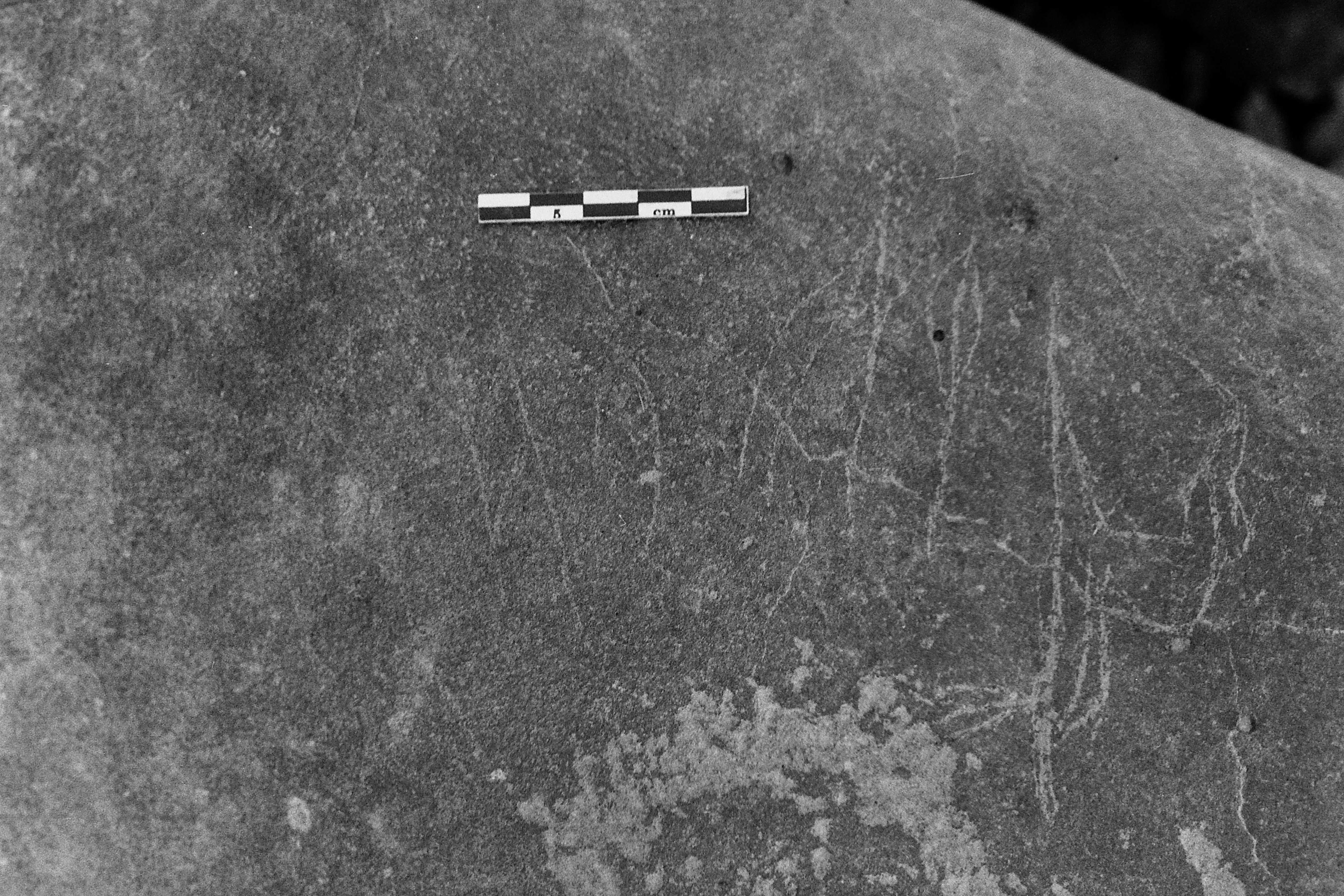 inscription of siglum Is.L 169