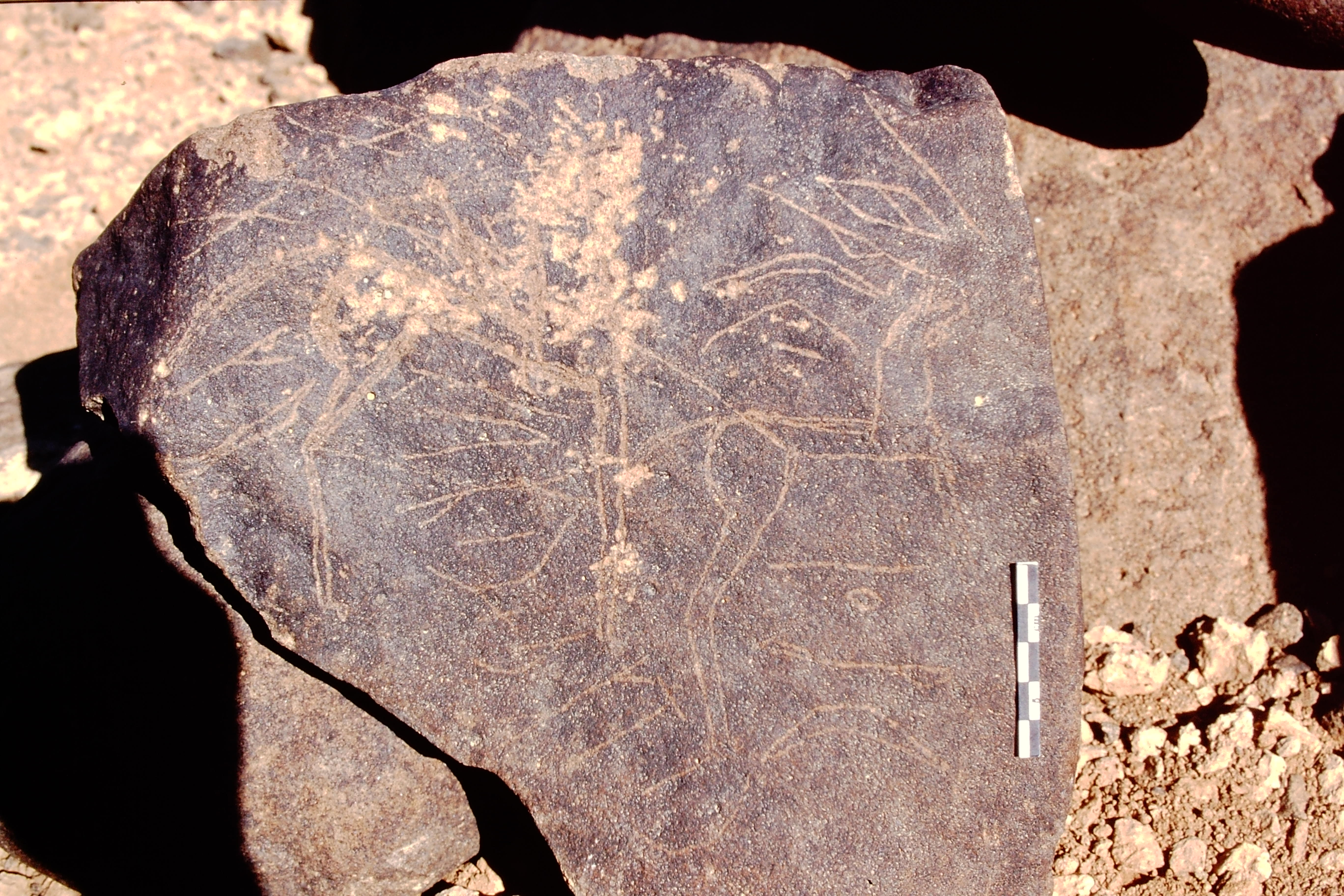 inscription of siglum Is.L 170