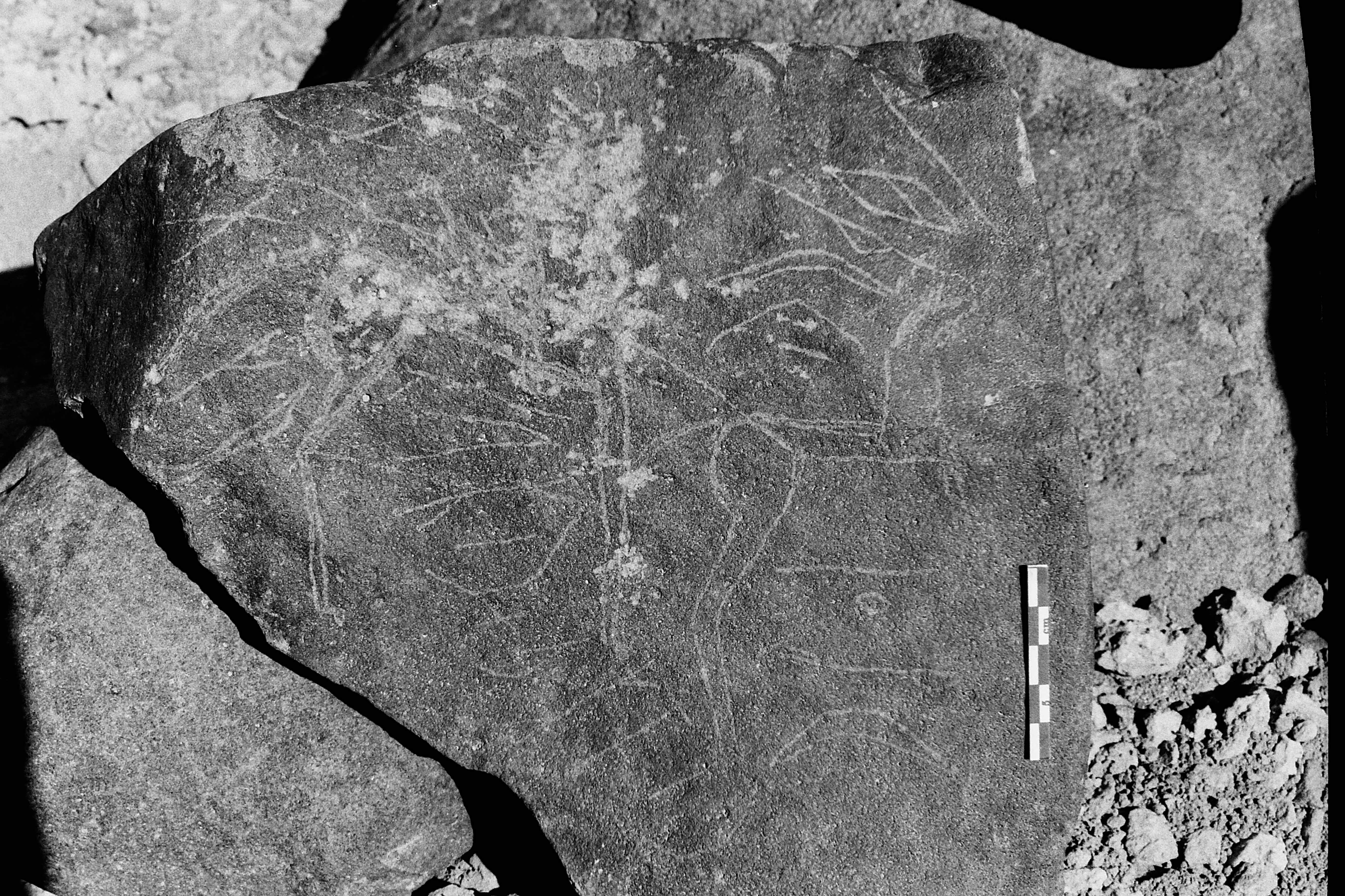 inscription of siglum Is.L 170