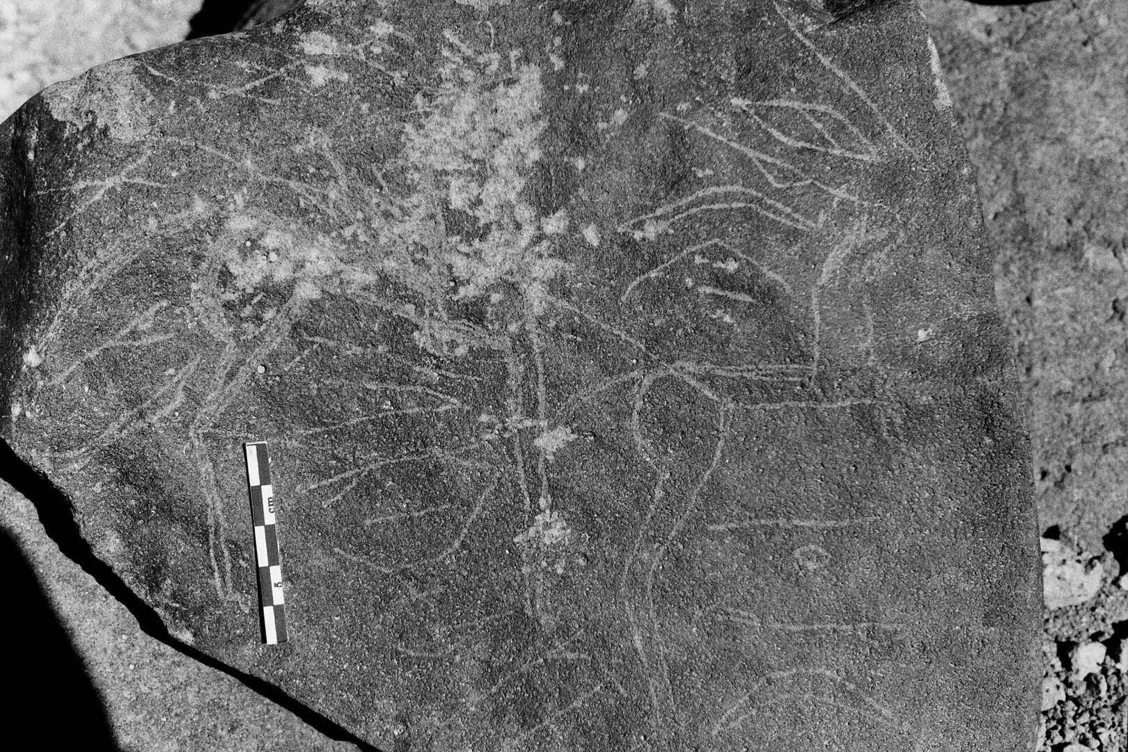 inscription of siglum Is.L 171