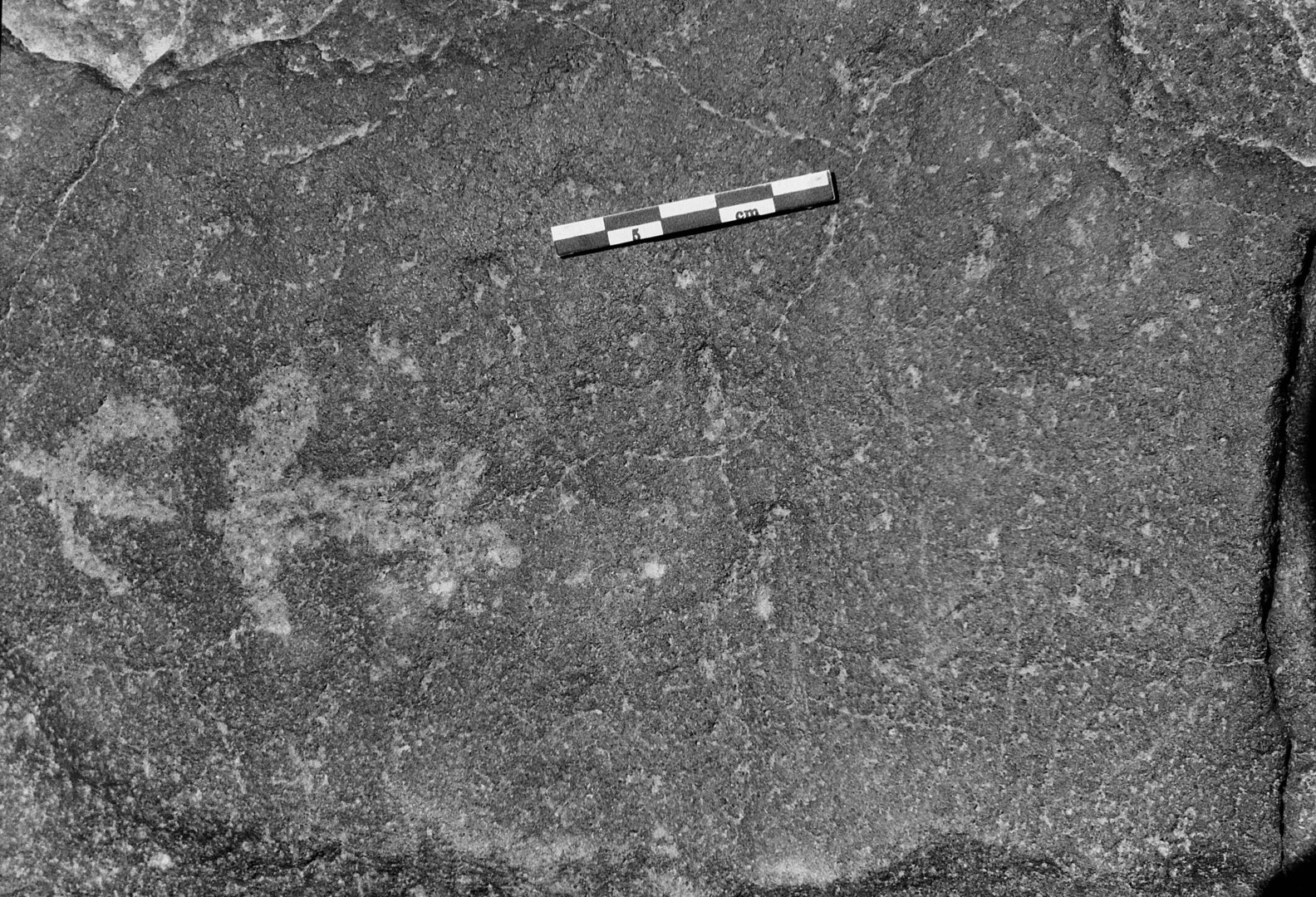 inscription of siglum Is.L 176